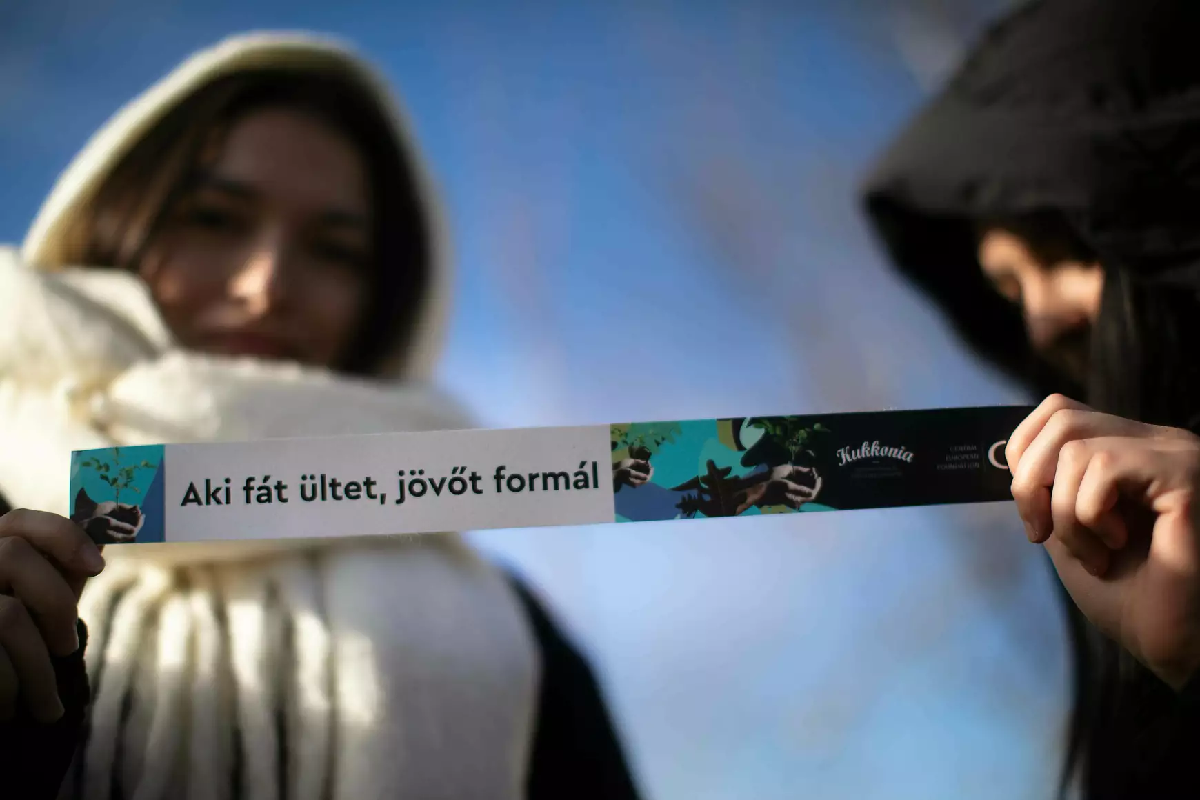 Faültetés Egyházgellén