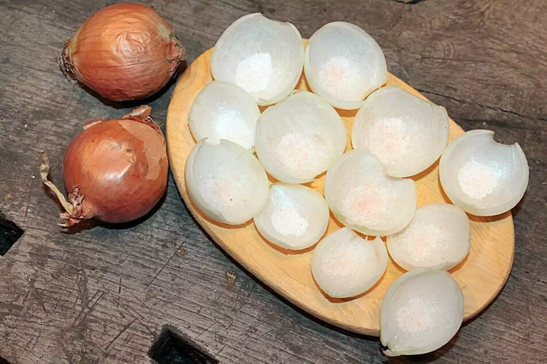 hagymakalendárium