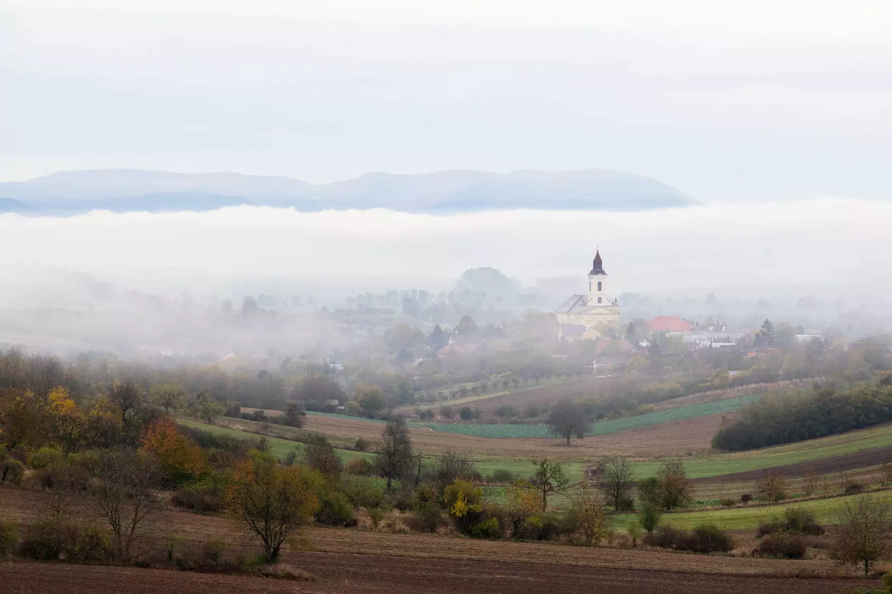 A megismételhetetlen pillanatok őre - Urban György 