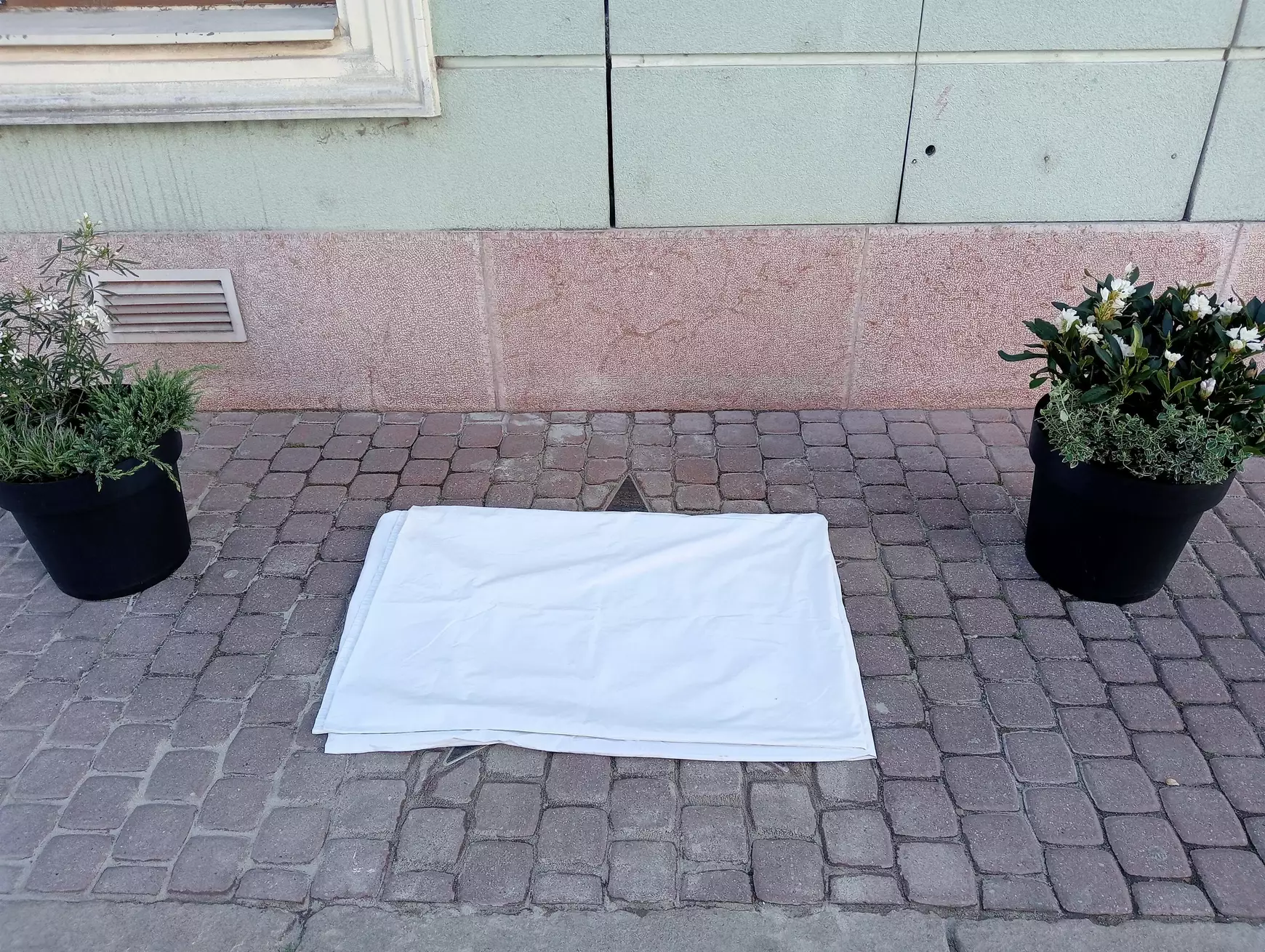 Jónak kell lenni, kabátokat magunk után hagyni, nem tövispalánkokat – felavatták Benkő Géza mozicsillagát – KÉPEKKEL