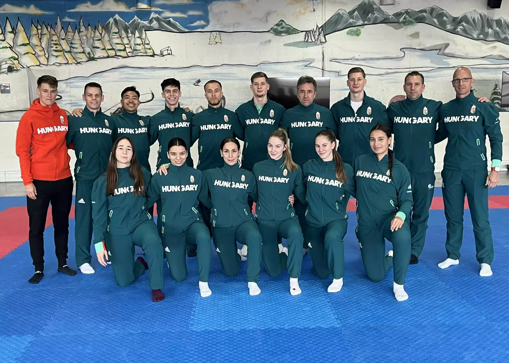 magyar karate