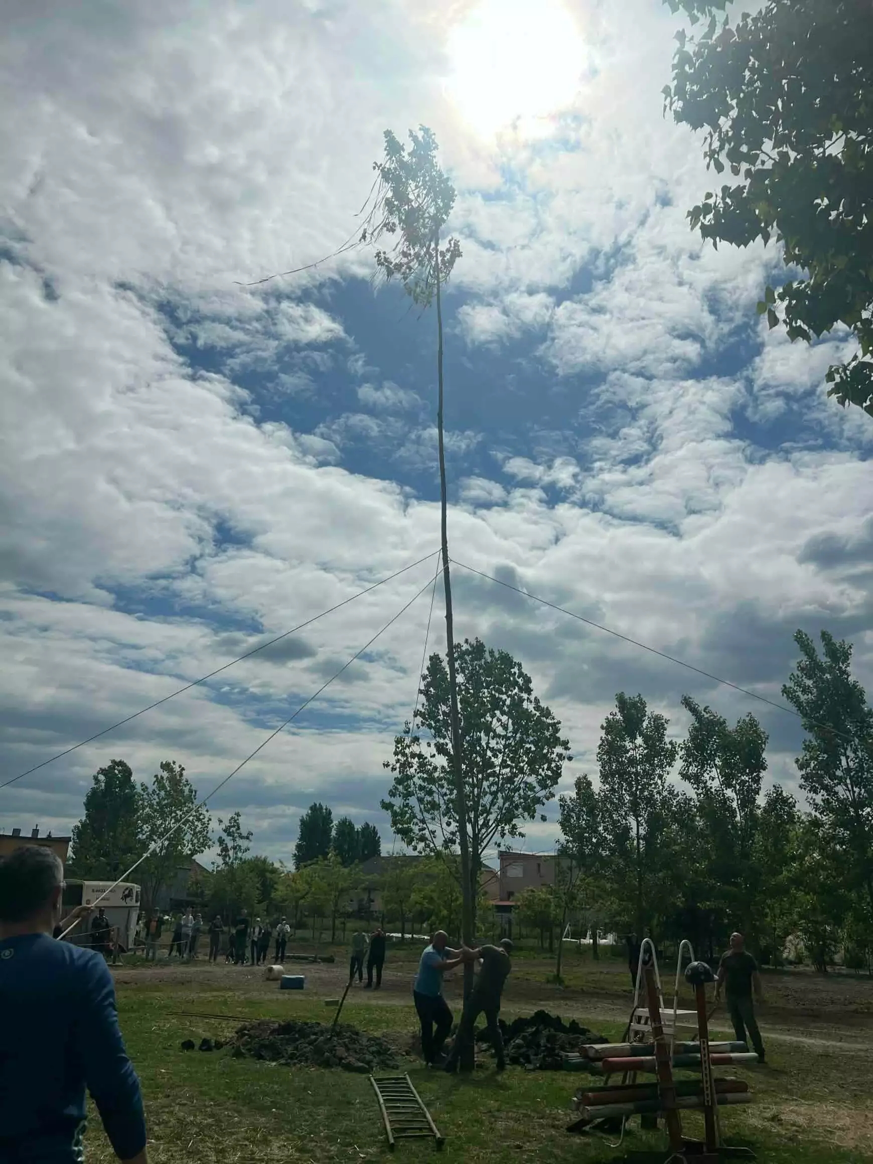 majfaallitas-a-nyarasdi-blankzol-ranchon