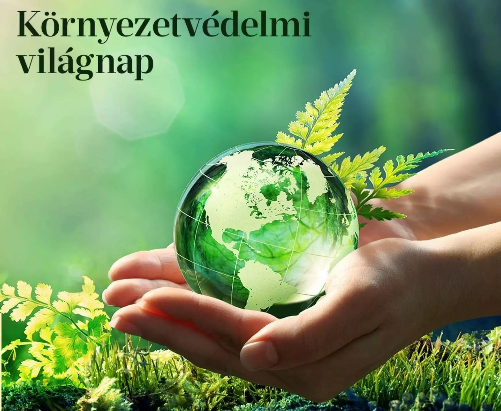 Hogyan tovább?