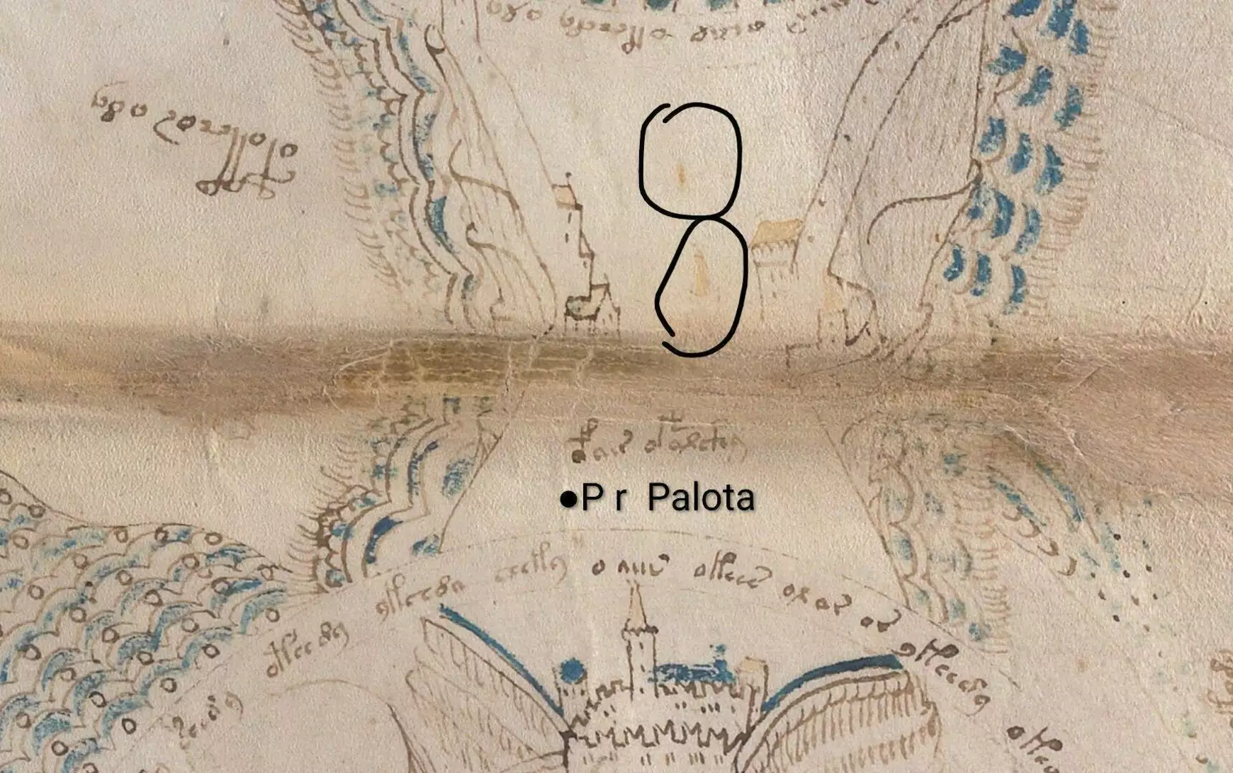 Egy magyar felfedezés, amely megoldhatja a Voynich-kézirat rejtélyét 