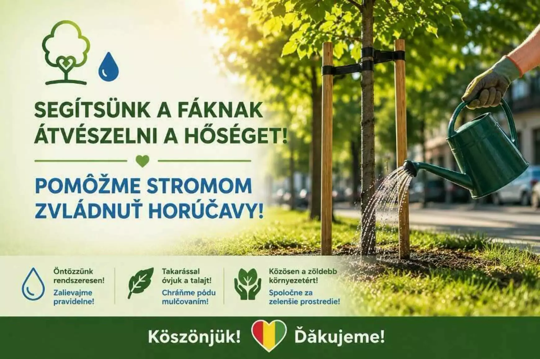 S.O.S.: „A fák is siratják az elveszett lombokat...” – KÉPEKKEL