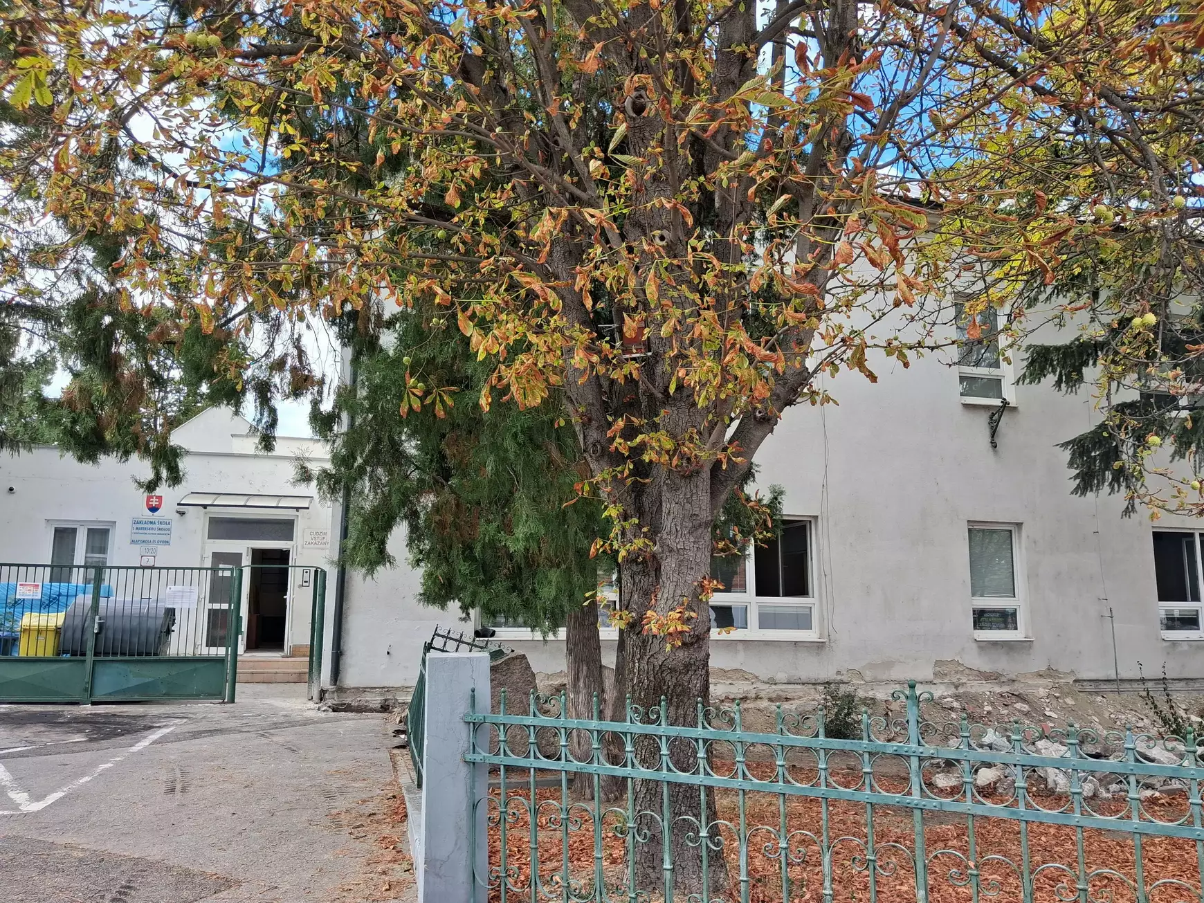 Magyar alapiskola