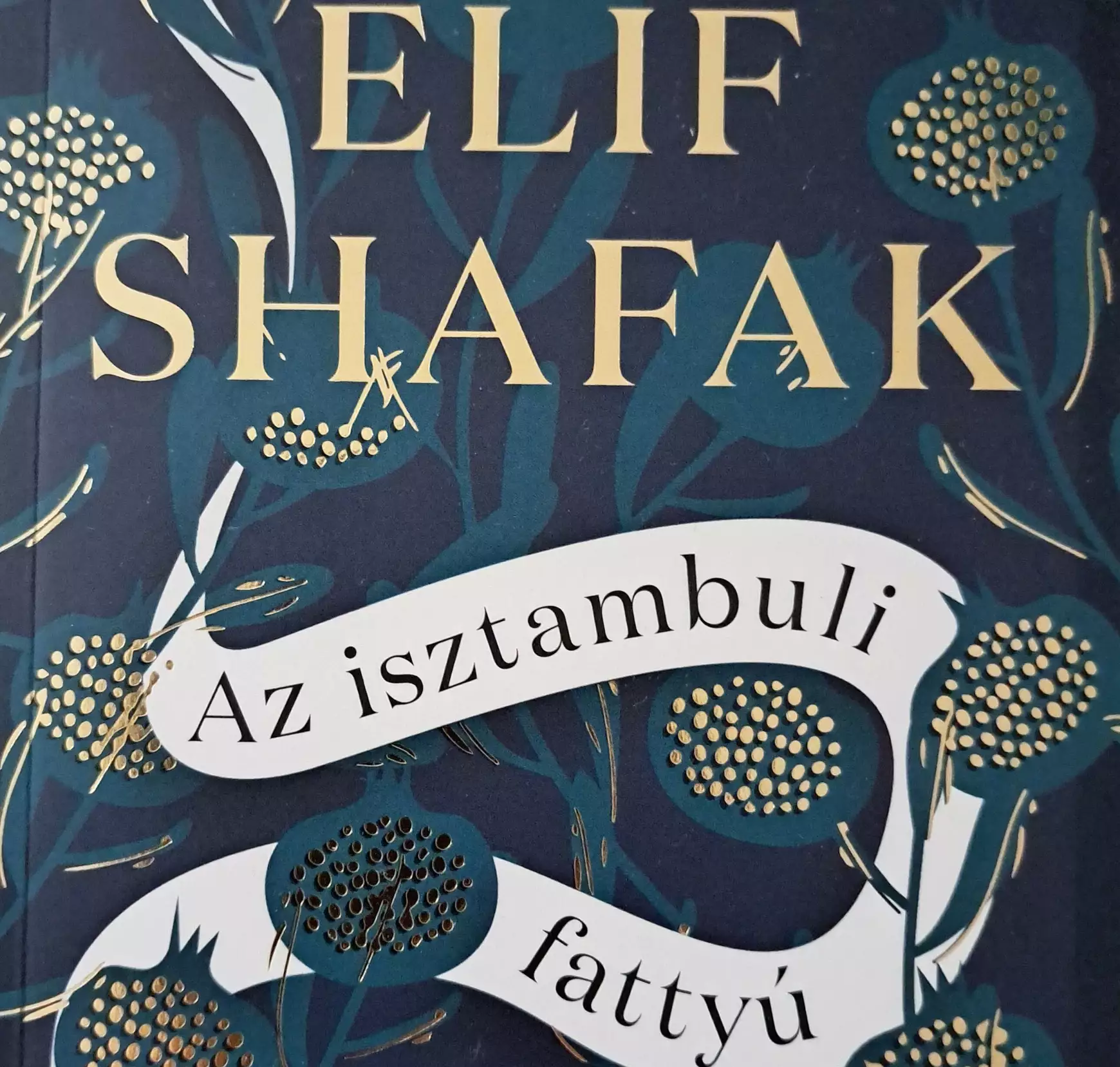 isztambuli fattyú