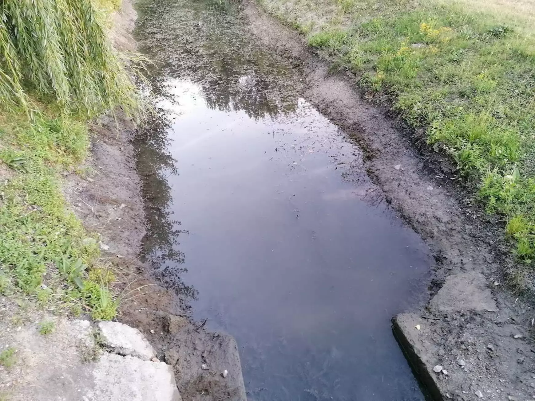kacsaúsztató