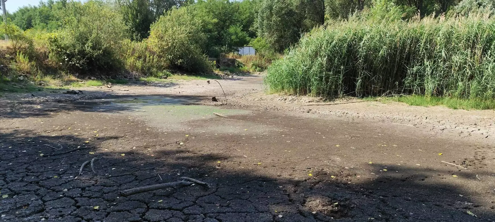 A madari tó is az extrém hőség és csapadékhiány áldozata – KÉPEKKEL