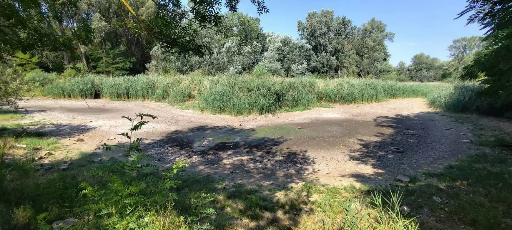 A madari tó is az extrém hőség és csapadékhiány áldozata – KÉPEKKEL