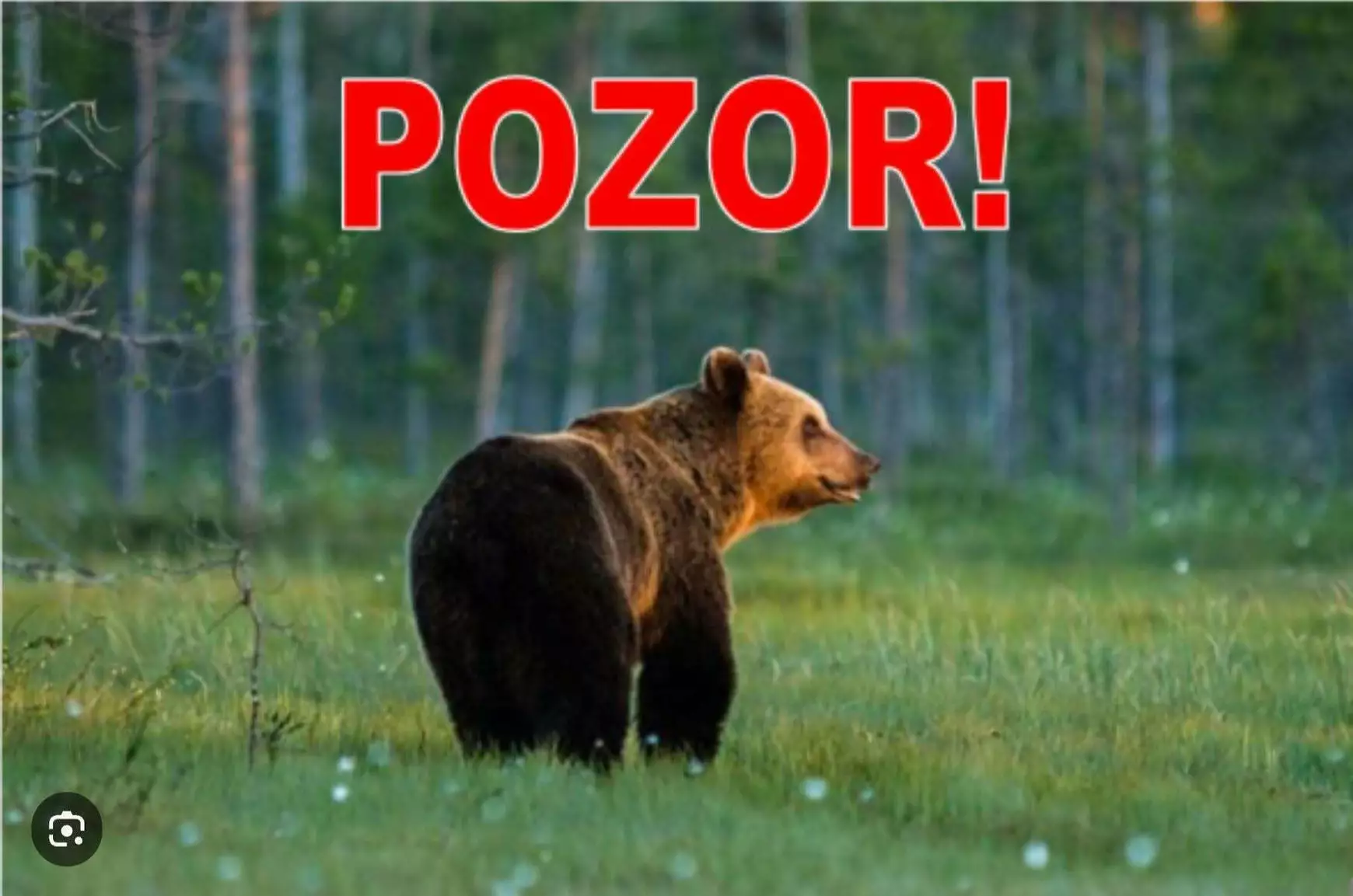 medve Mosóc