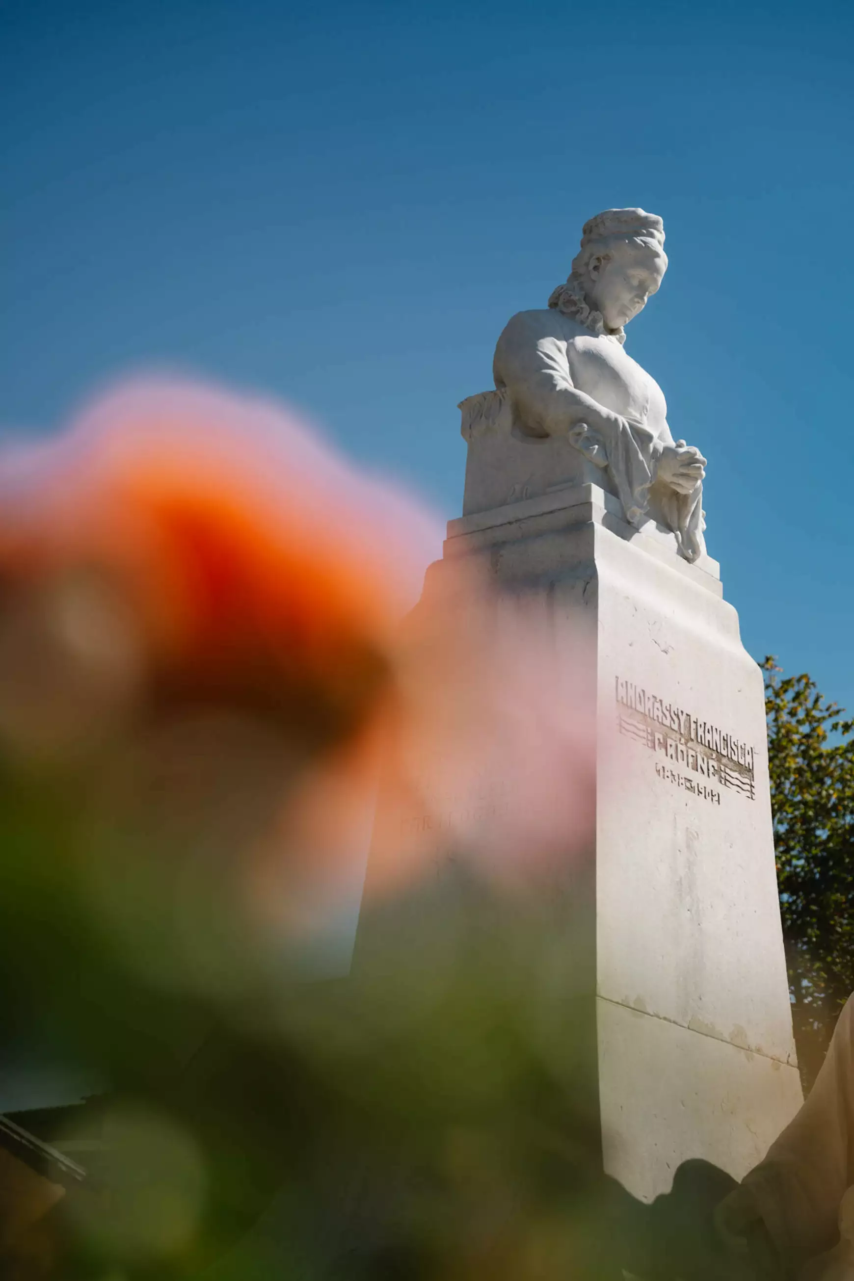 Rozsnyó, Andrássy Franciska, Franciska-szobor, tisztítás