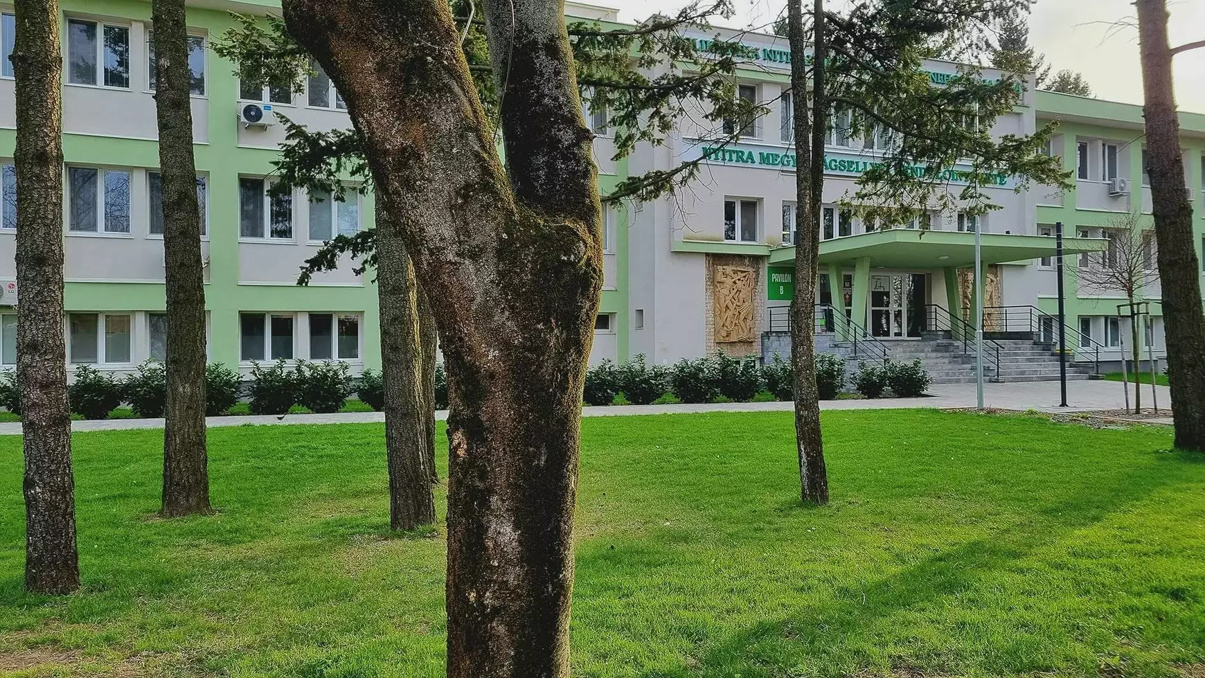 Vágsellyei megyei kampány