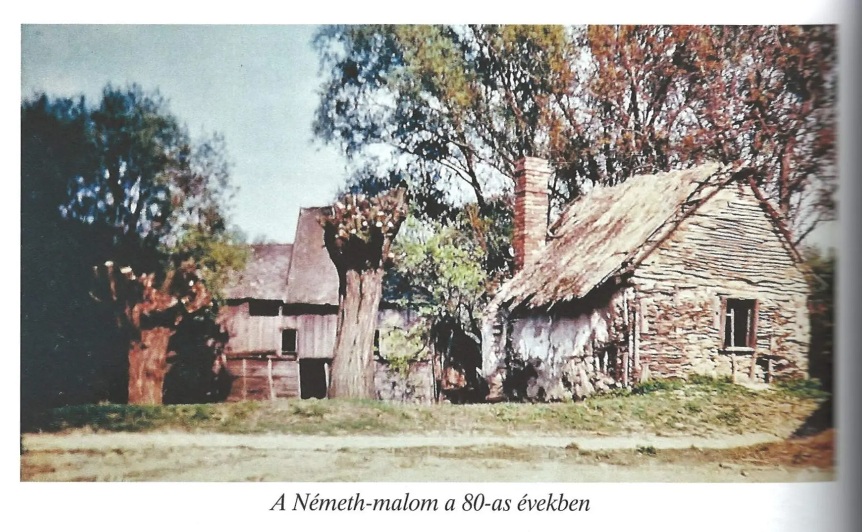 a-nemeth-malom-a-80-as-evekben