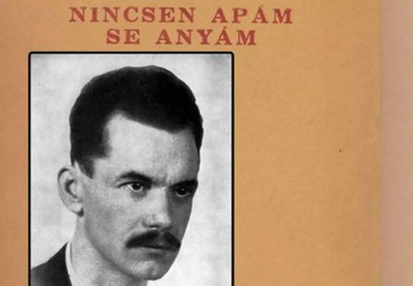József Attila - Nincsen anyám, se apám - 1929 - könyvborító - reprofotó