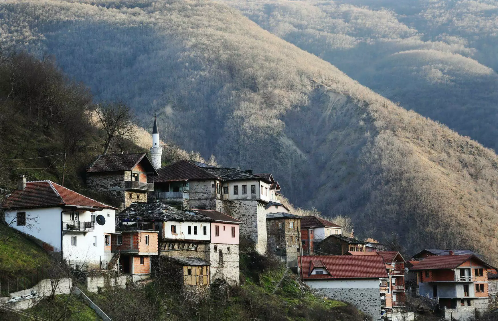 torbes