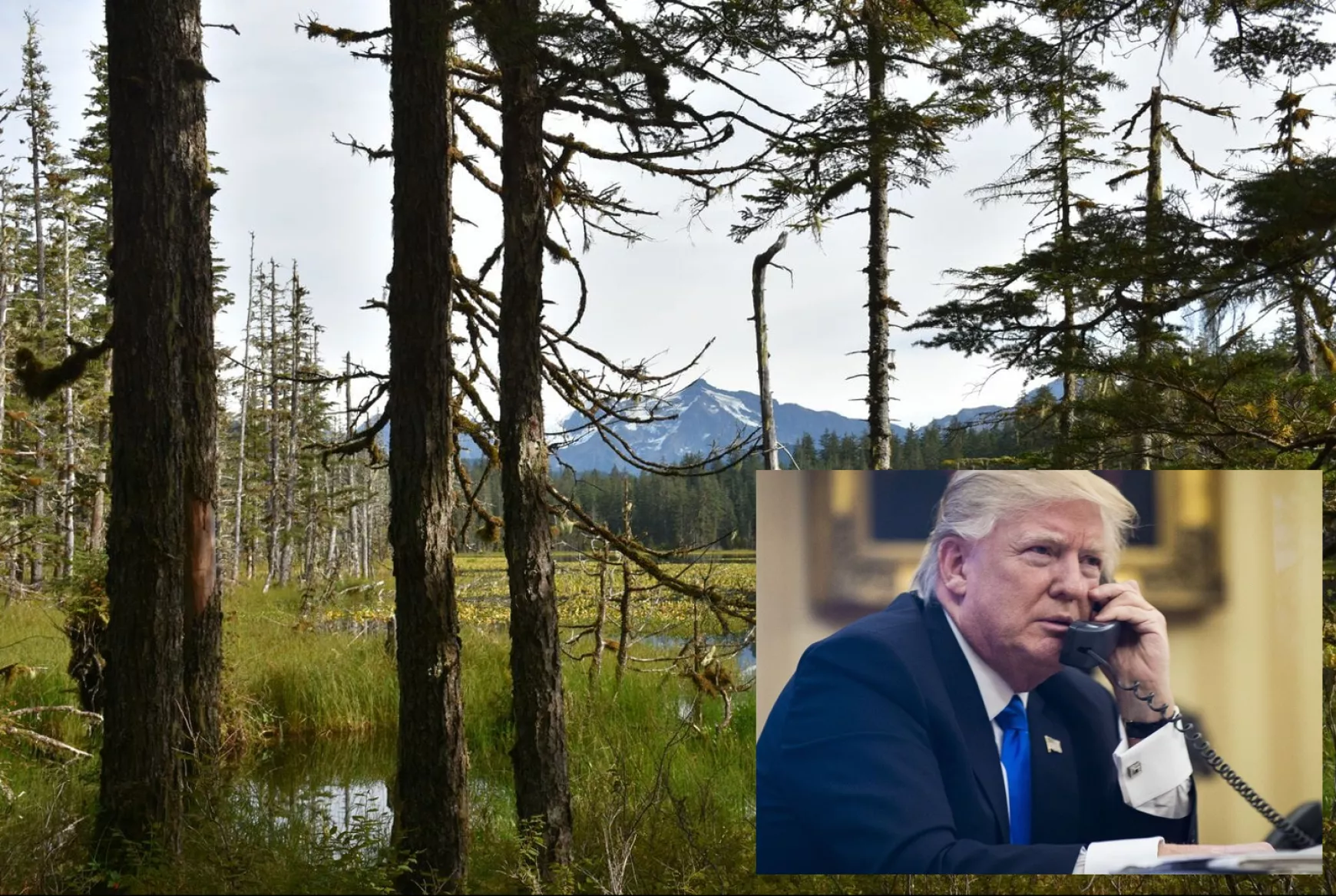 alaszka-trump-erdo.png alaszka-trump-erdo.png