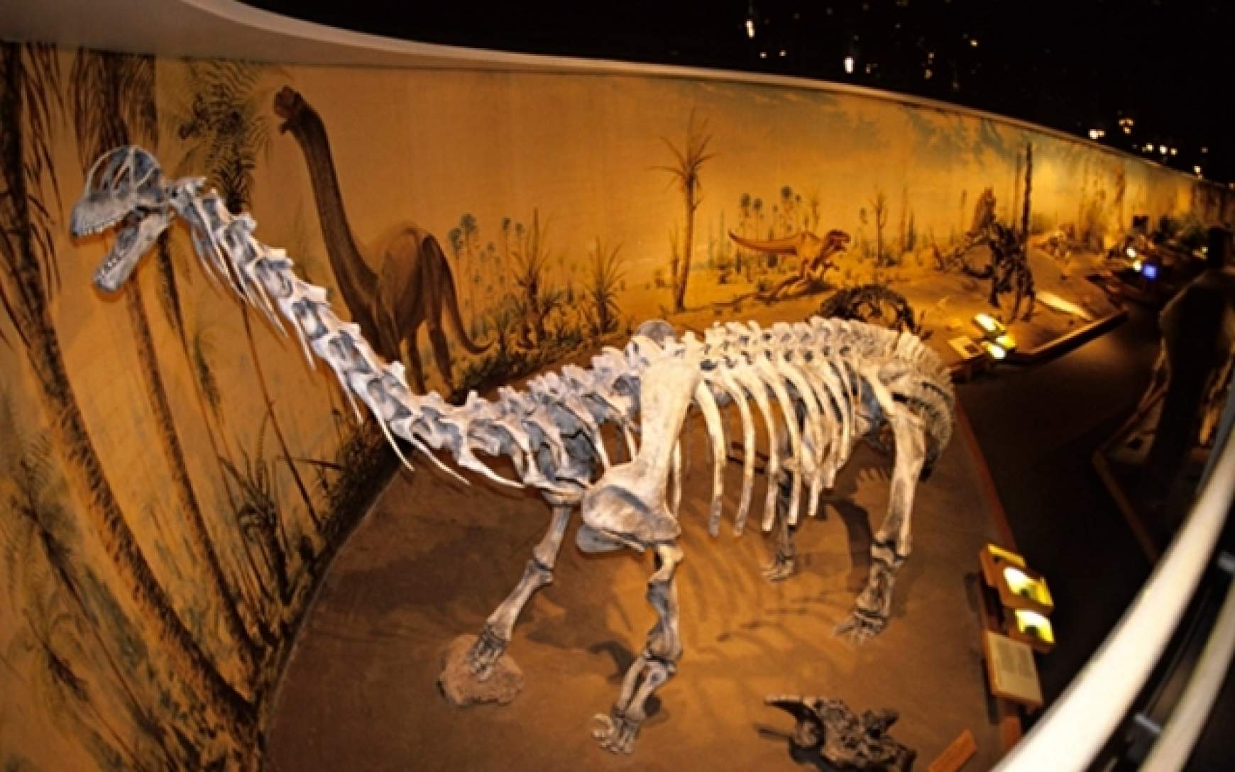 201410091922580.dino01,.jpg