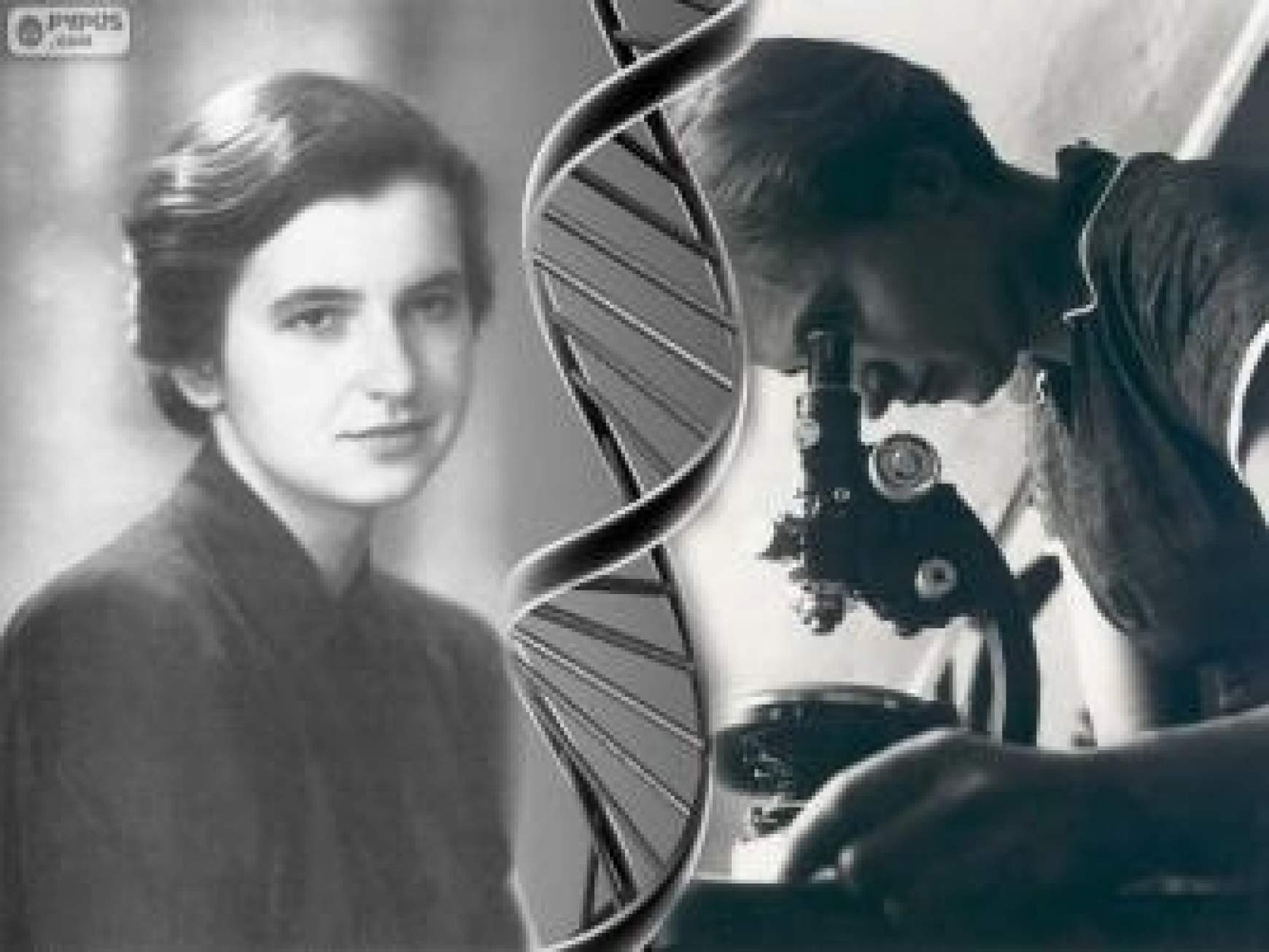 201508031002200.rosalind-franklin-1920-1_51f10a8e62b9a-p.jpg 201508031002200.rosalind-franklin-1920-1_51f10a8e62b9a-p.jpg