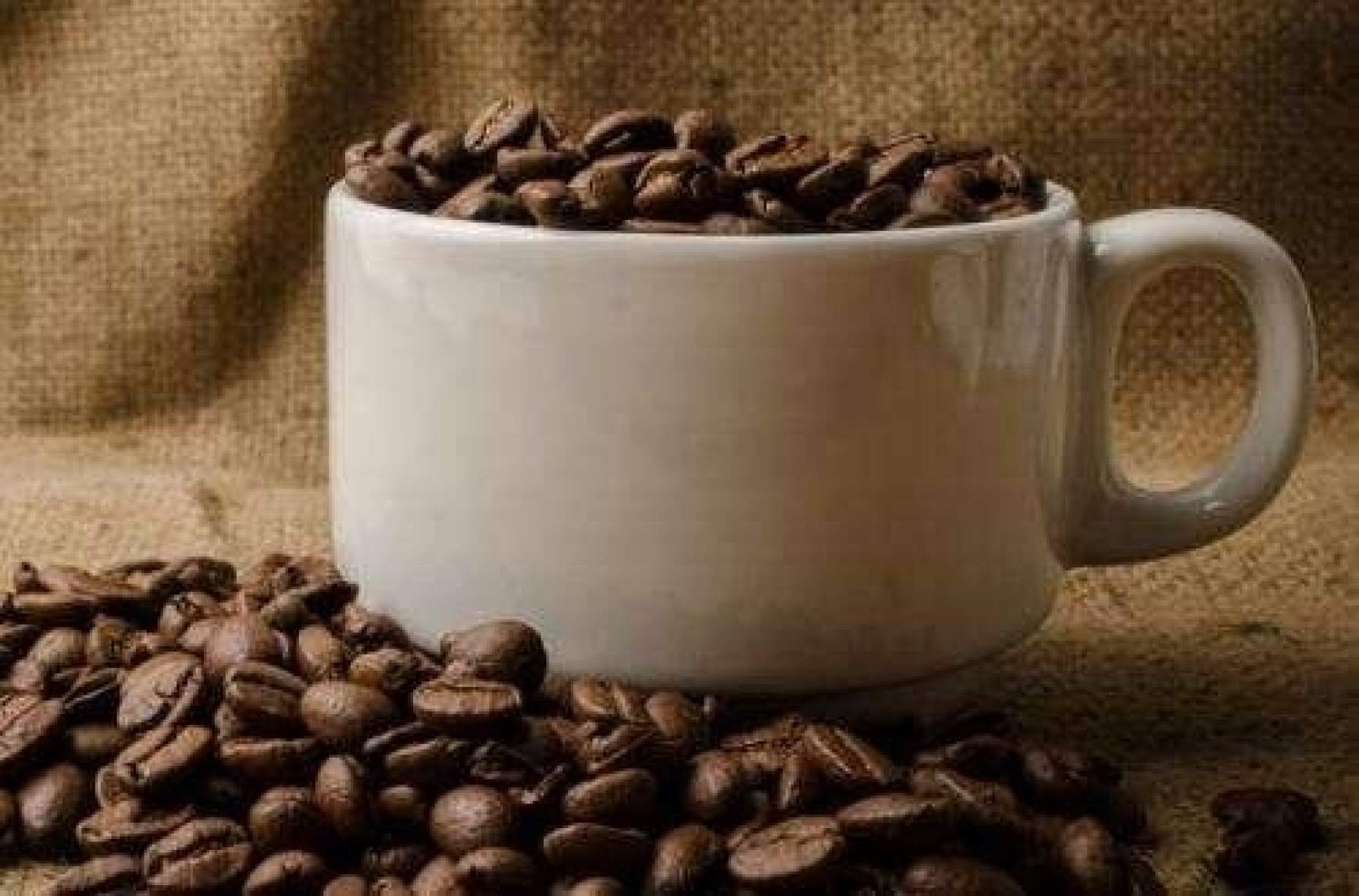 201509241843330.coffee-14093.jpg 201509241843330.coffee-14093.jpg