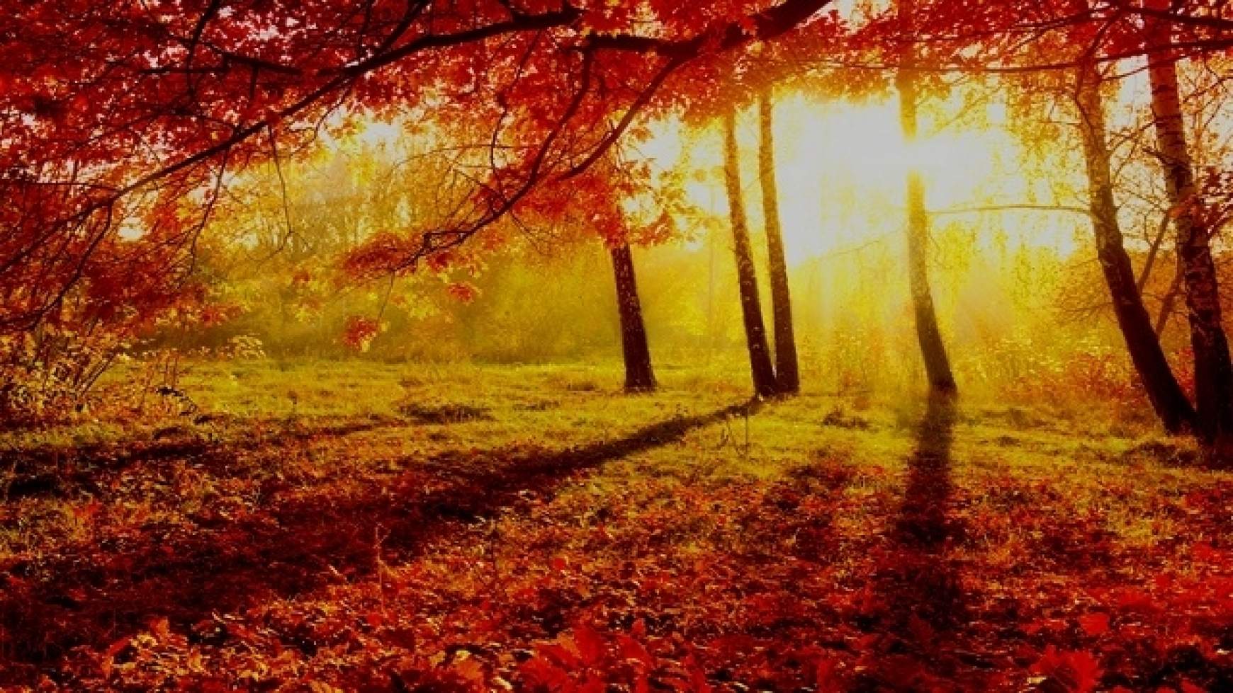 201510251155040.VENY_2.jpg