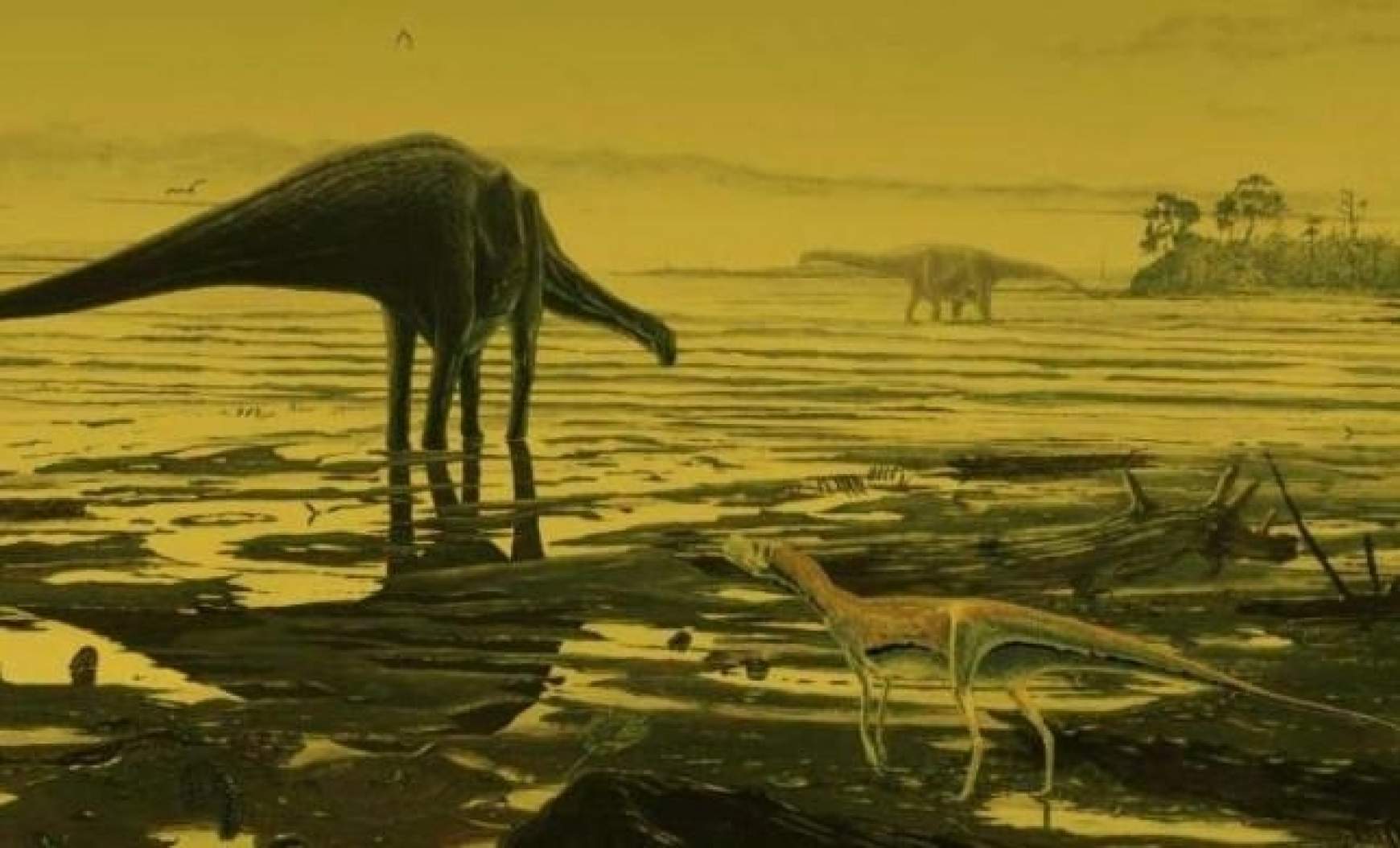 201512021655110.fossildinosa.jpg 201512021655110.fossildinosa.jpg
