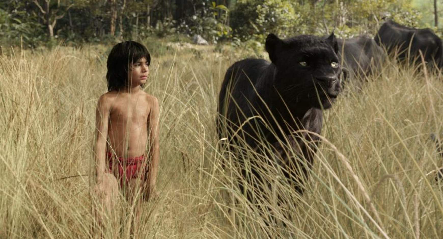 201604261310120.junglebook01.jpg 201604261310120.junglebook01.jpg