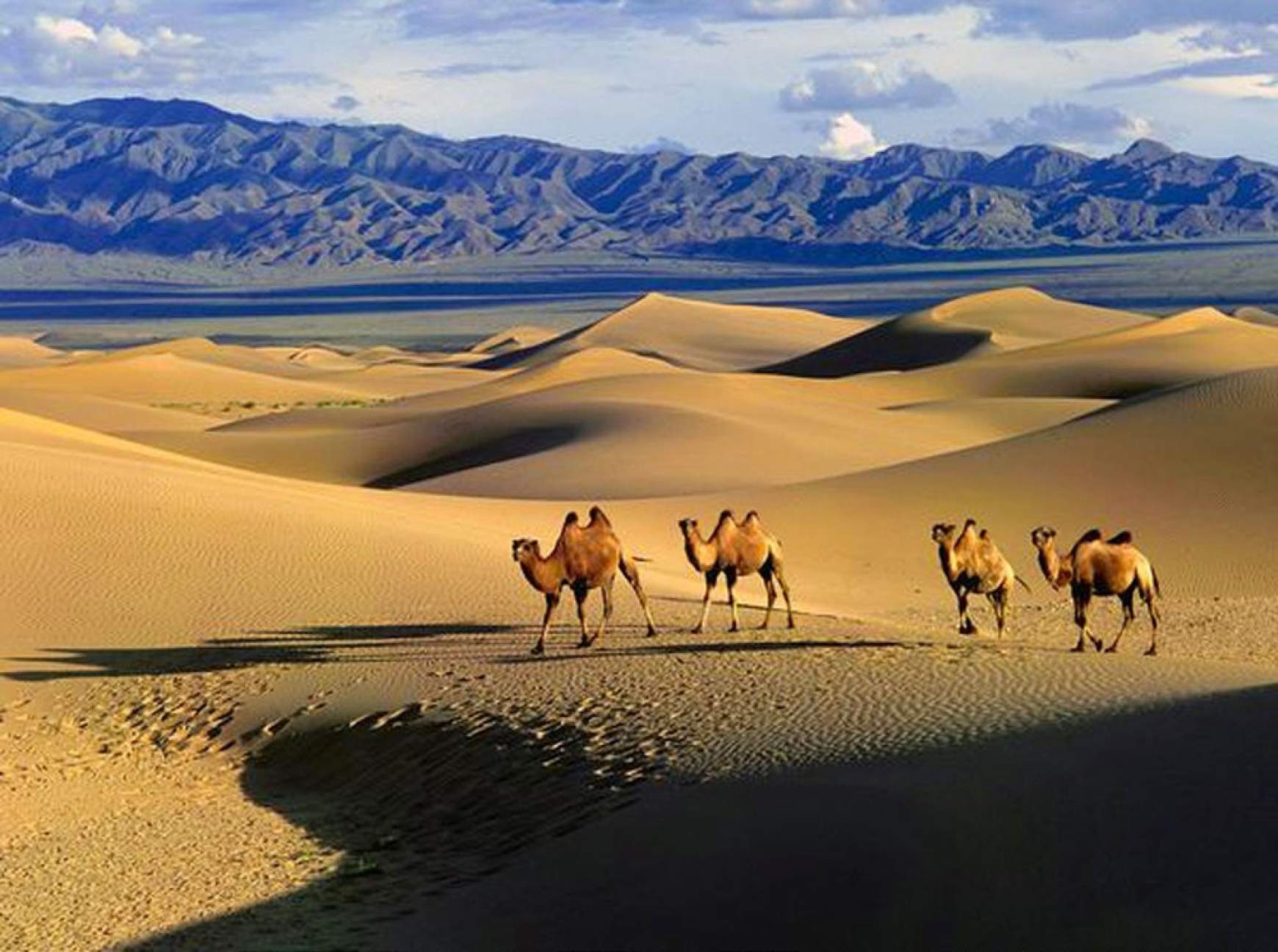 201606252132220.gobi01.jpg 201606252132220.gobi01.jpg