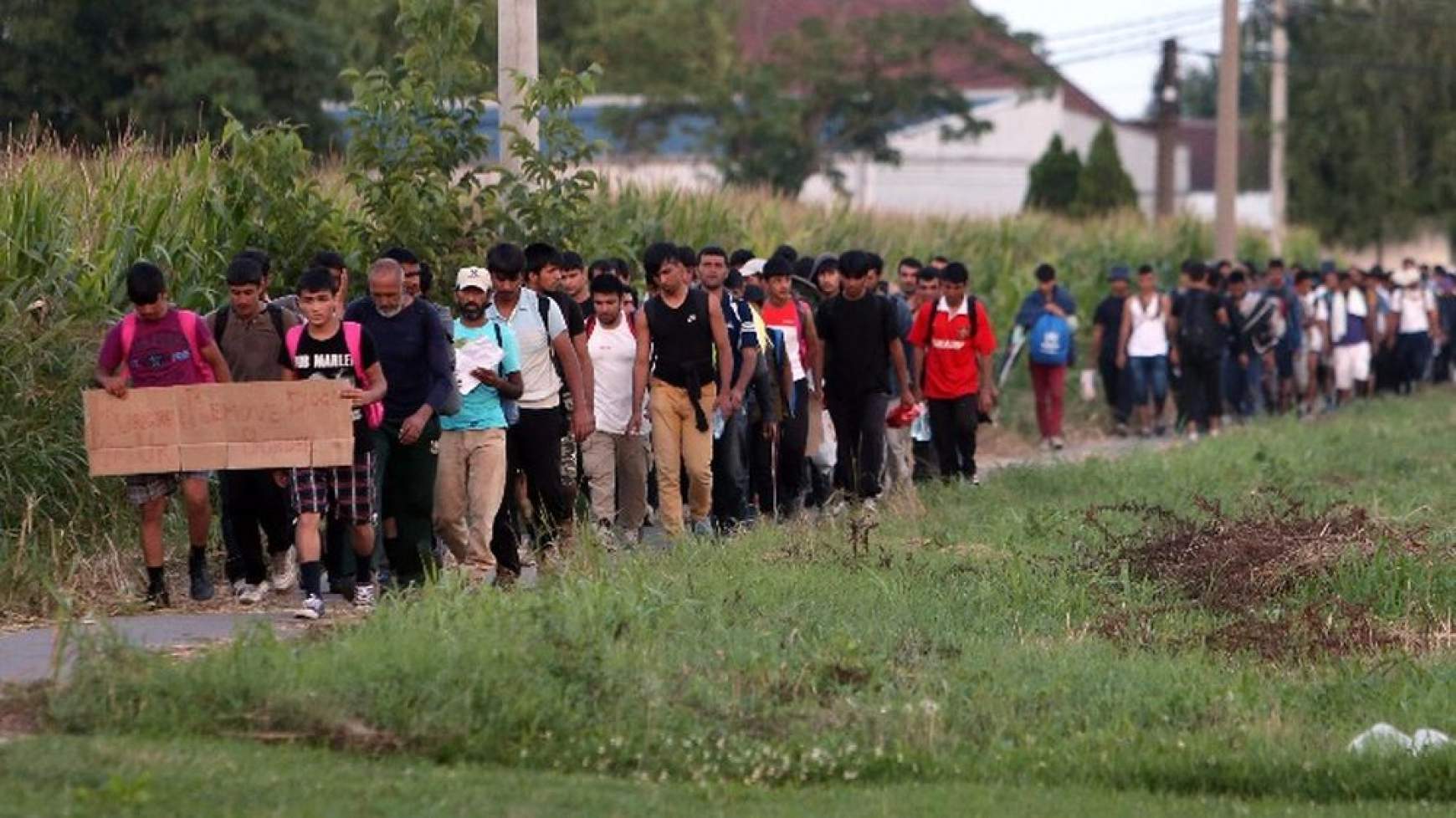 201607241150520.00000001a_migransmenet.jpg 201607241150520.00000001a_migransmenet.jpg