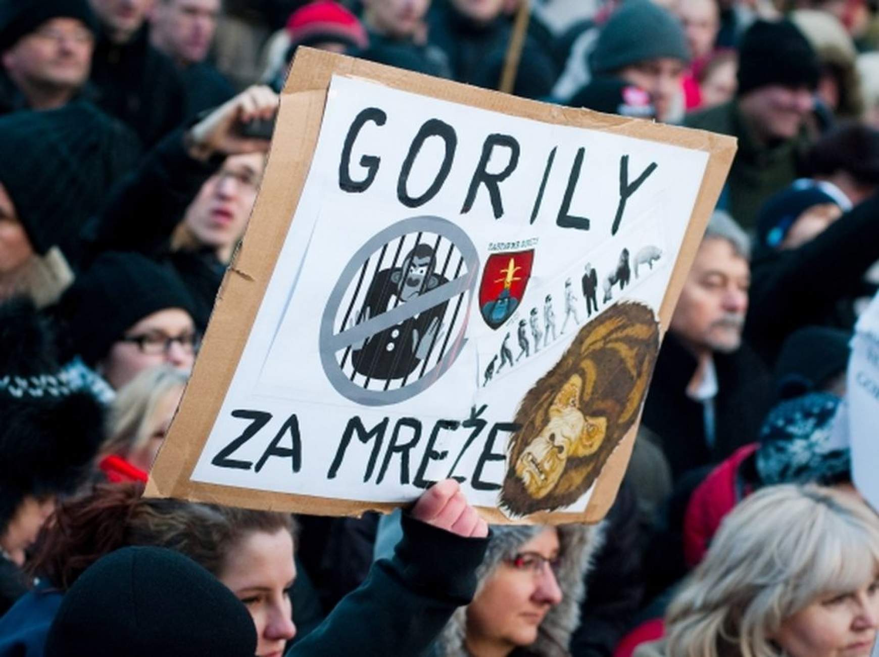 201610211518080.00000000001a_protest-gorila-iii.jpg 201610211518080.00000000001a_protest-gorila-iii.jpg