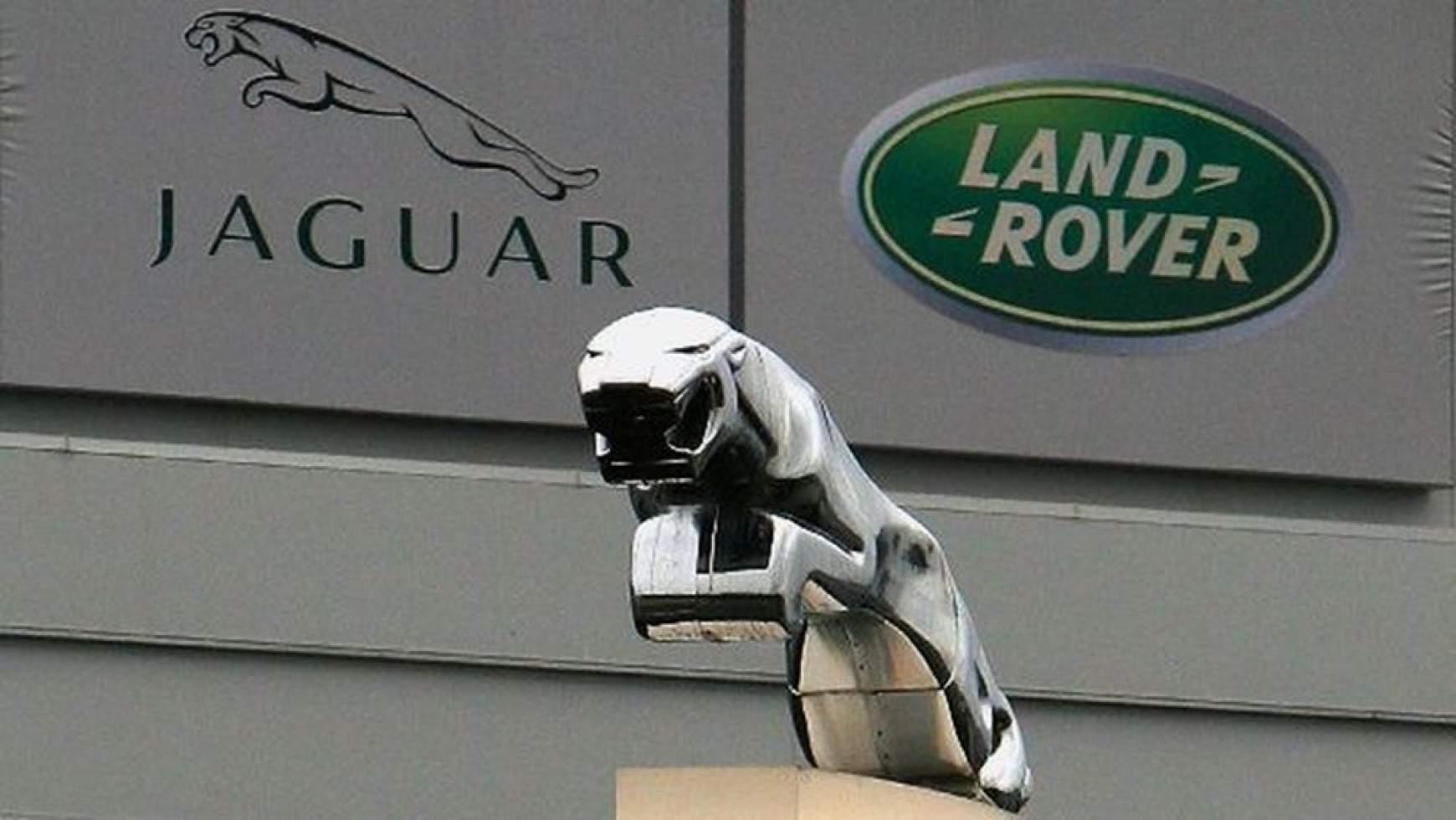 201702111324430.JAGUAR_1-2.jpg 201702111324430.JAGUAR_1-2.jpg