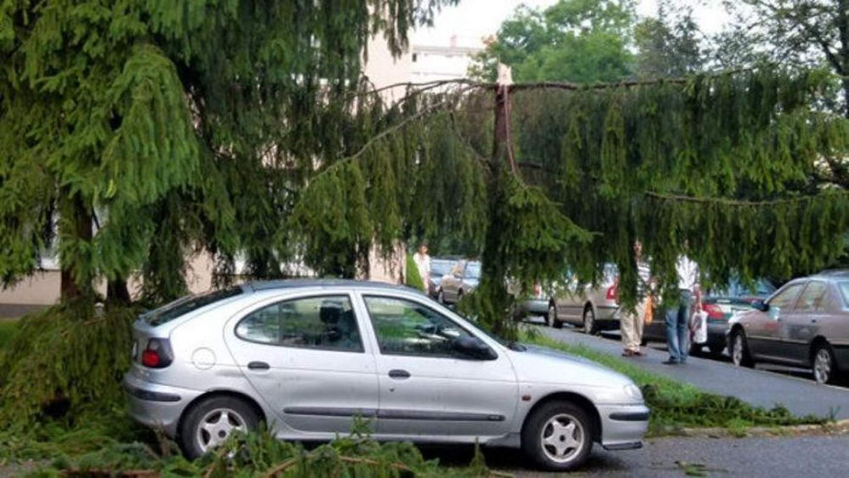 201708201357150.c2.jpg 201708201357150.c2.jpg