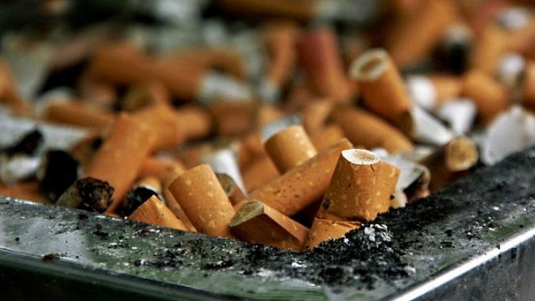 201709161737570.CIGARETTA_1-2.jpg 201709161737570.CIGARETTA_1-2.jpg