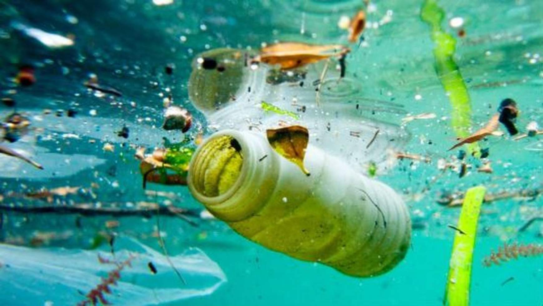 201710061101240.plastic_in_water_16x9.jpg 201710061101240.plastic_in_water_16x9.jpg