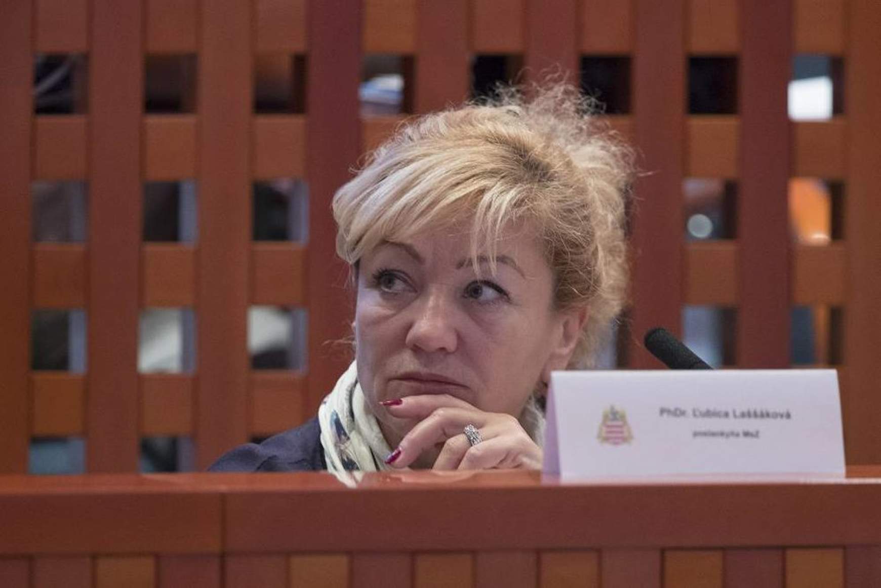 201803191611460.lassakova.jpg 201803191611460.lassakova.jpg