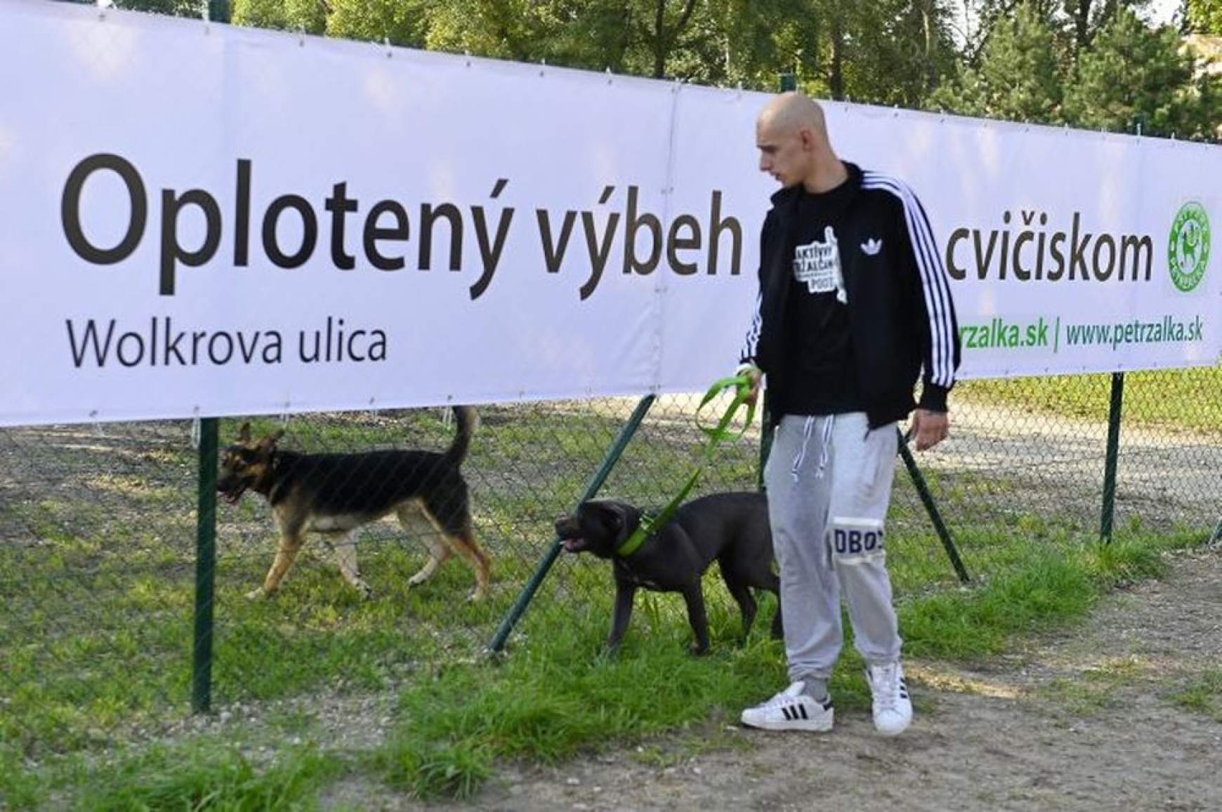 201803241419150.20140919_psipark9184878.jpg 201803241419150.20140919_psipark9184878.jpg