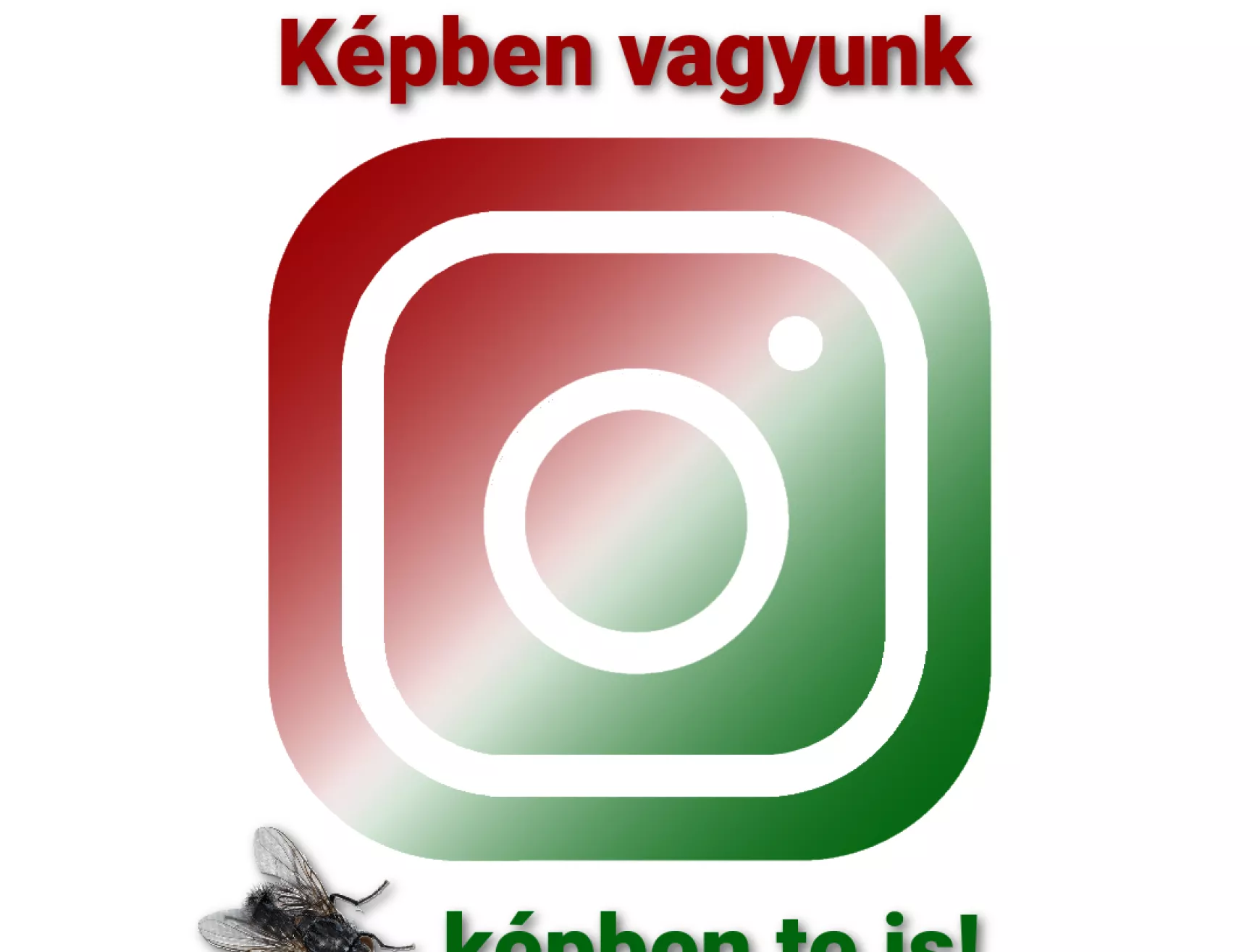 ma7 instagram