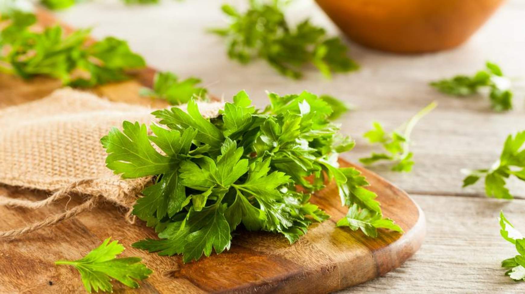 petrezselyem petrezselyem