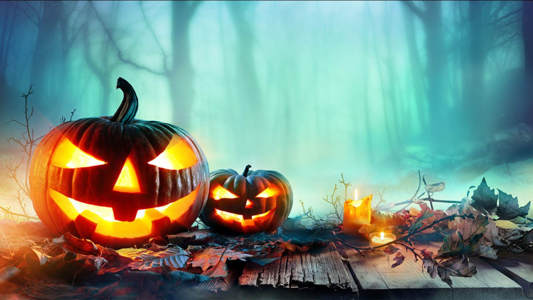 Halloween Halloween