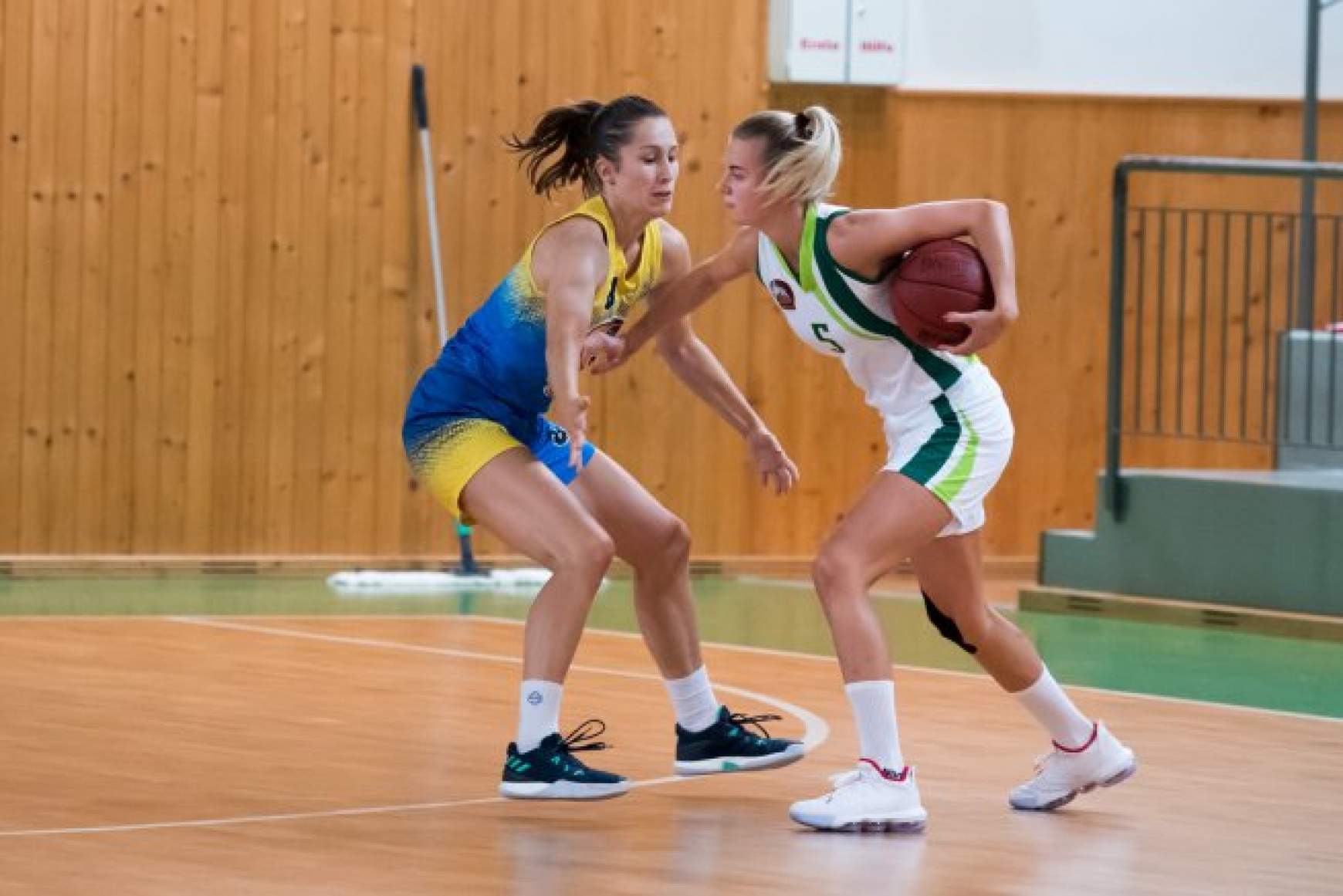 somorja újabb zakója_női kosár somorja újabb zakója_női kosár