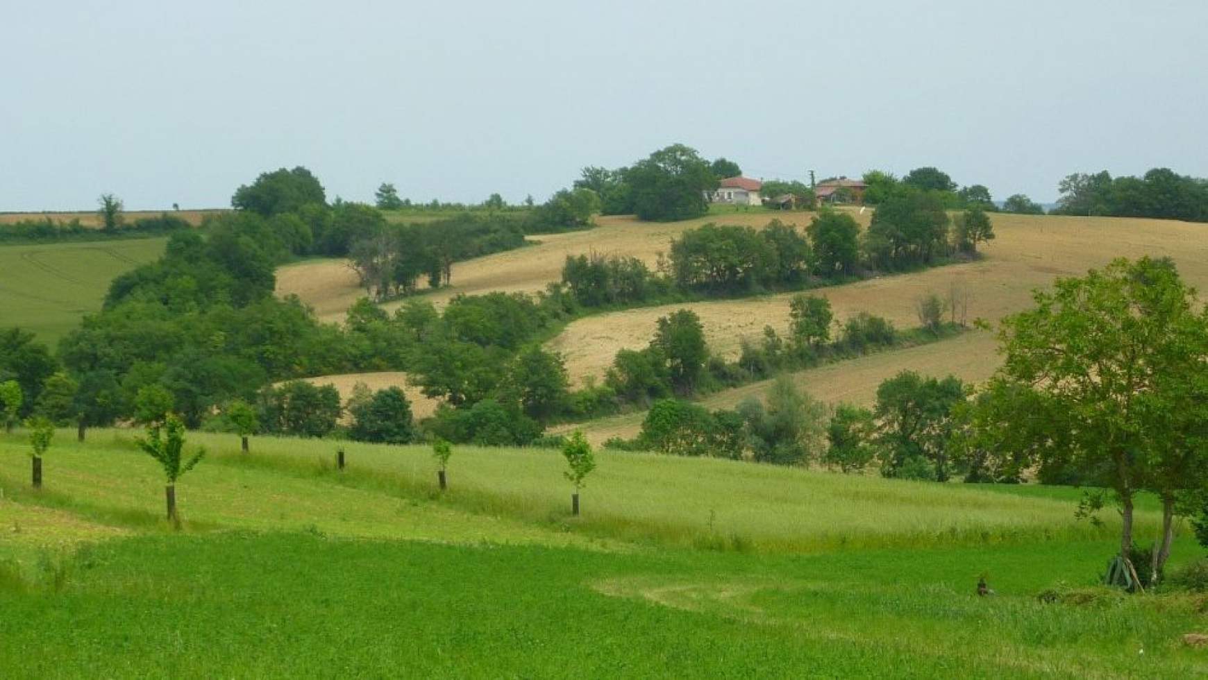 agroerdeszet_1.jpg agroerdeszet_1.jpg