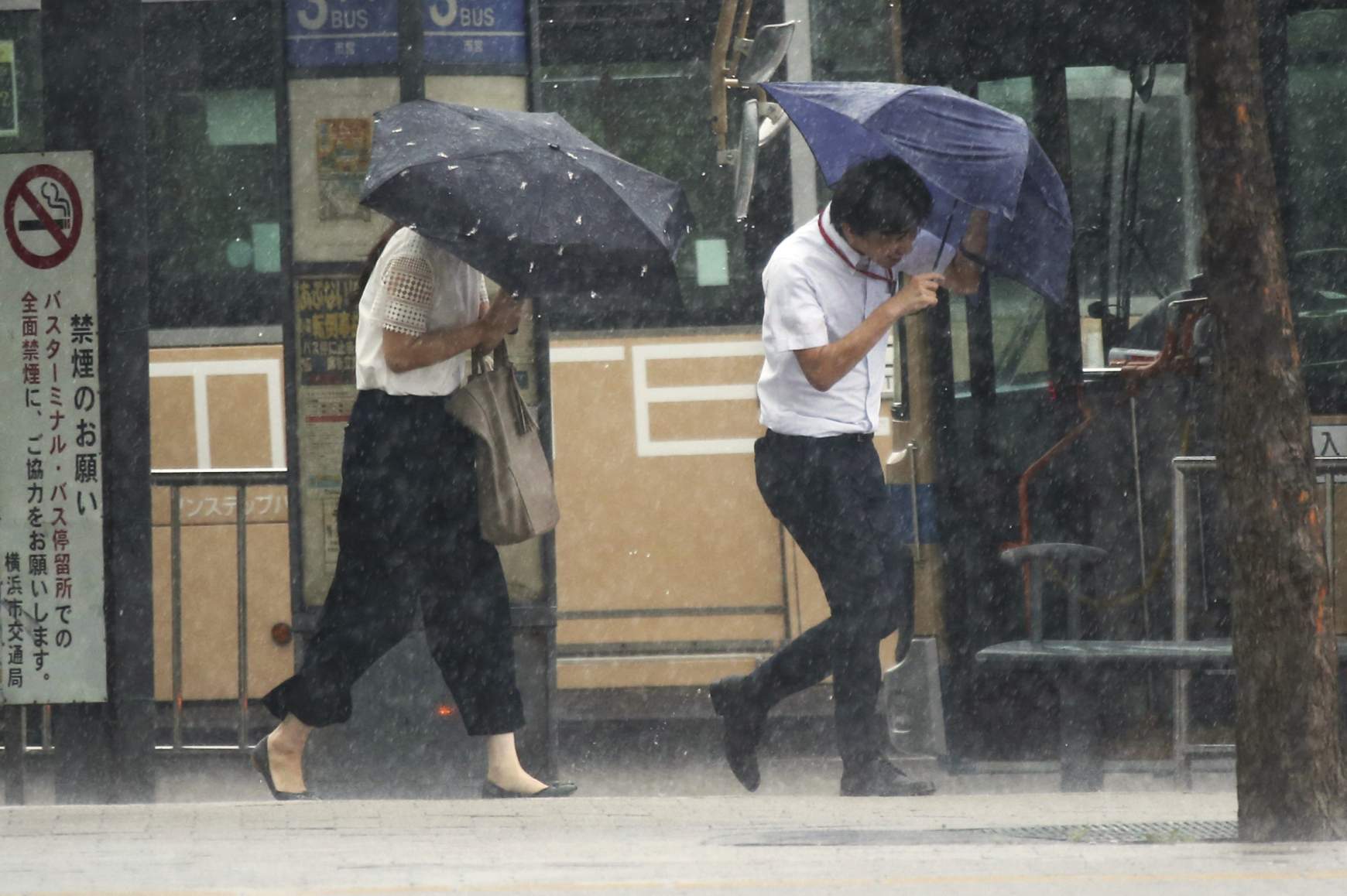 Japán - Dzsebi tájfun Japán - Dzsebi tájfun
