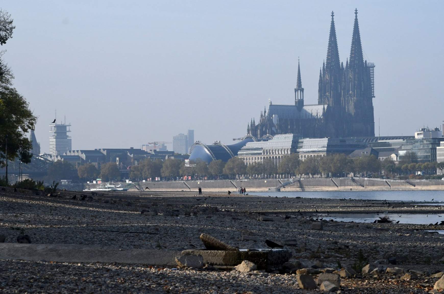 rajna-koln.jpg rajna-koln.jpg