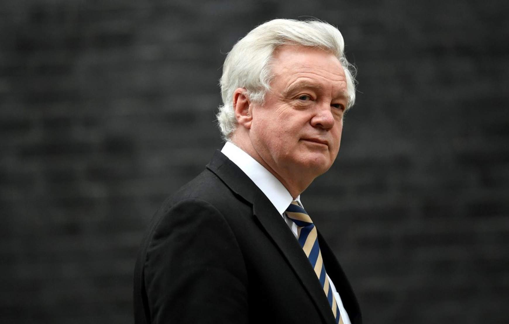 david-davis-brexit.jpg david-davis-brexit.jpg