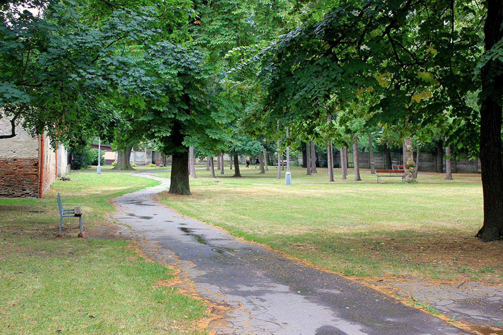 dioszegi-park.jpg dioszegi-park.jpg