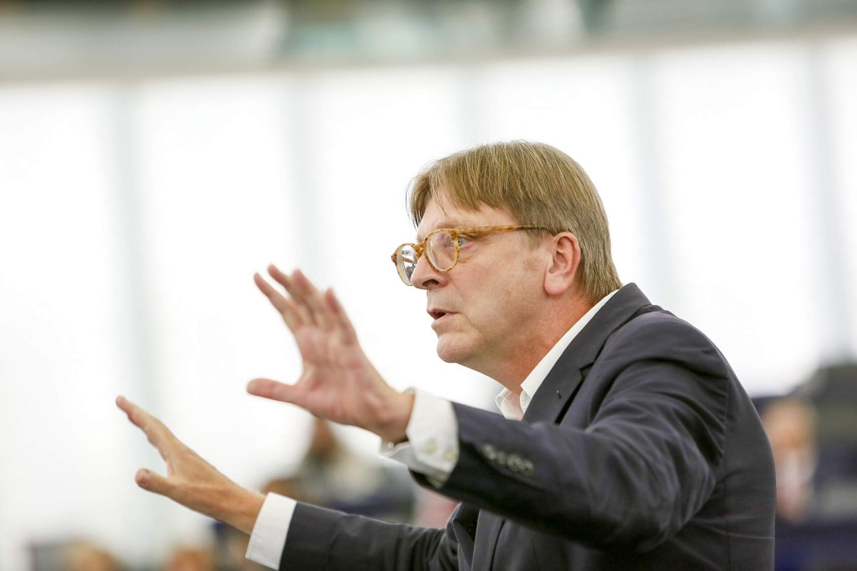 guyverhofstadt.jpg guyverhofstadt.jpg