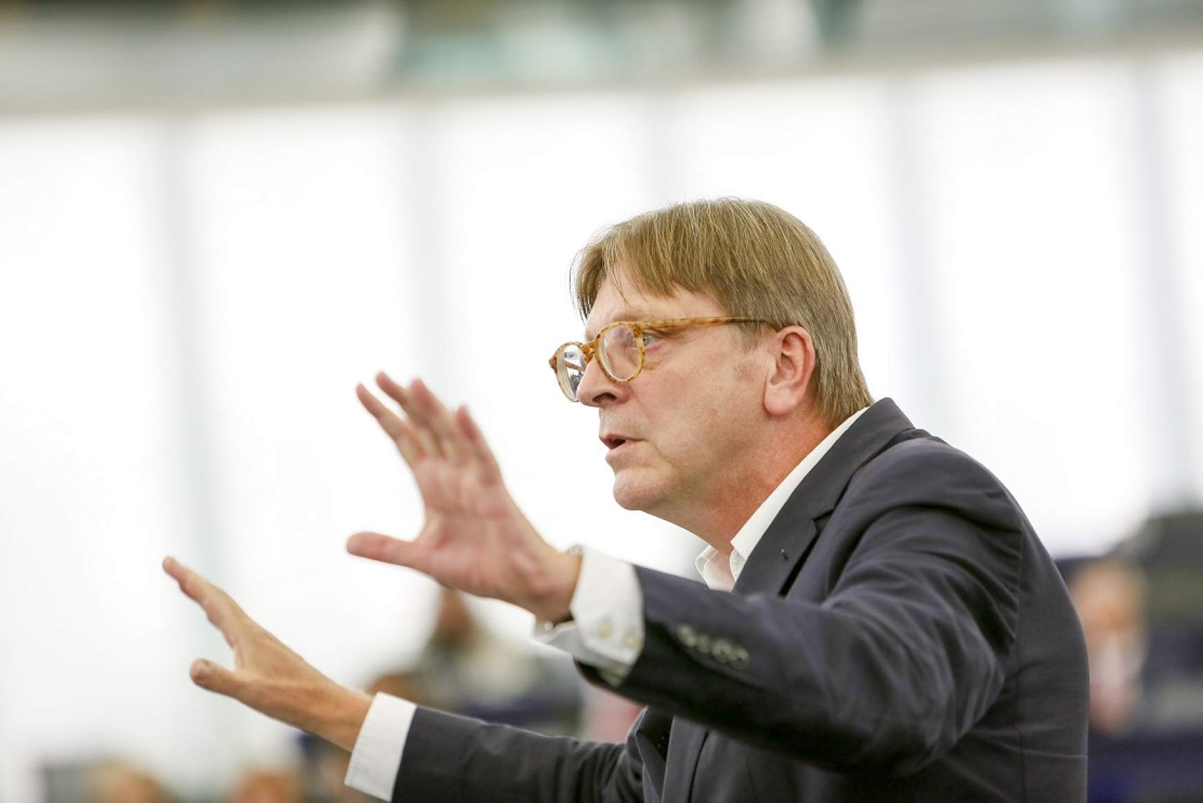 guyverhofstadt.jpg