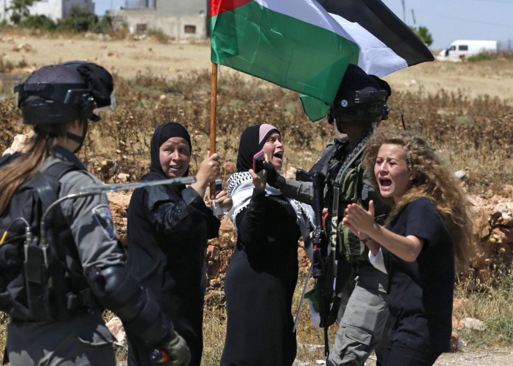 tamimi.jpg tamimi.jpg