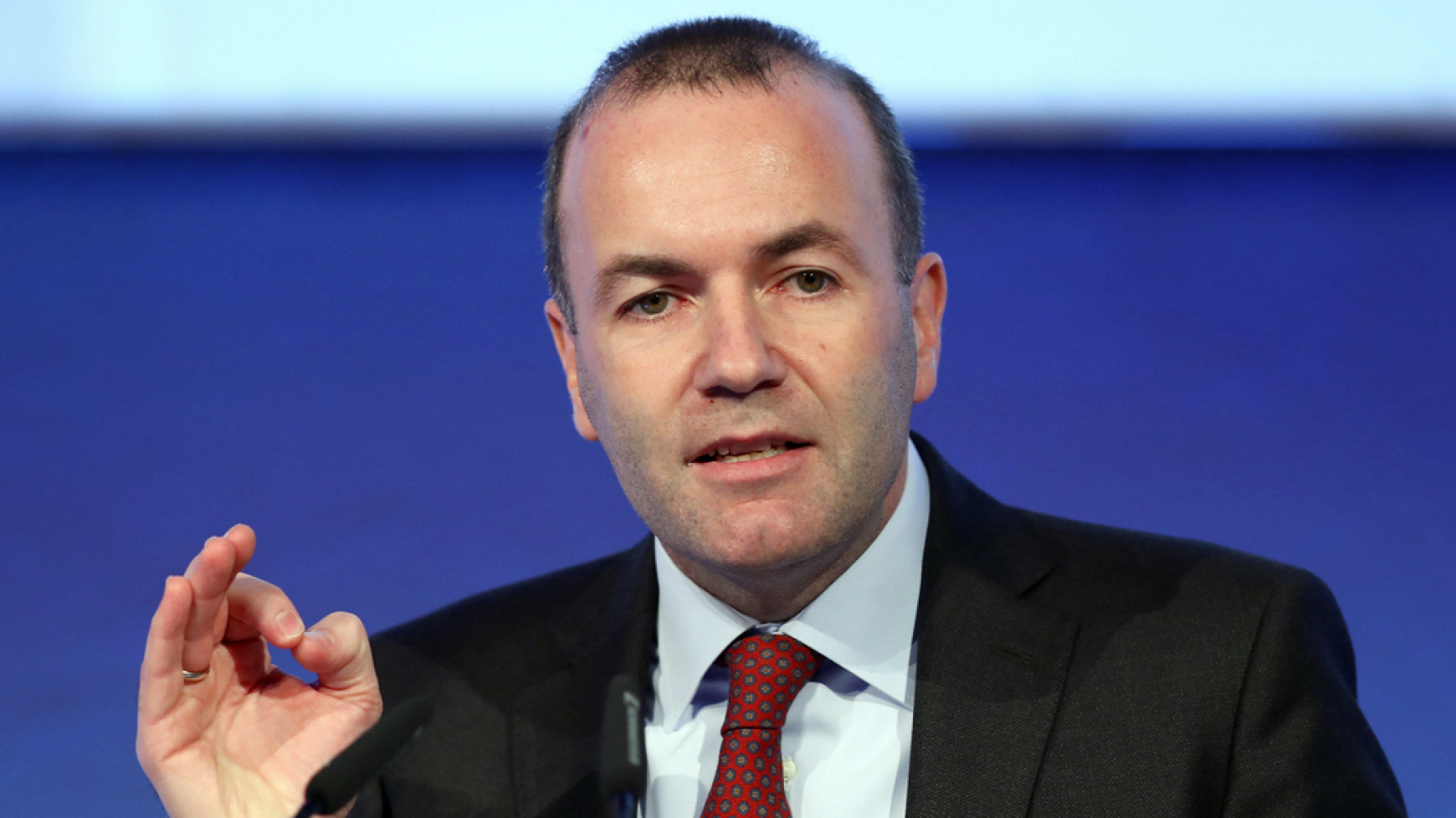 manfred-weber.png manfred-weber.png