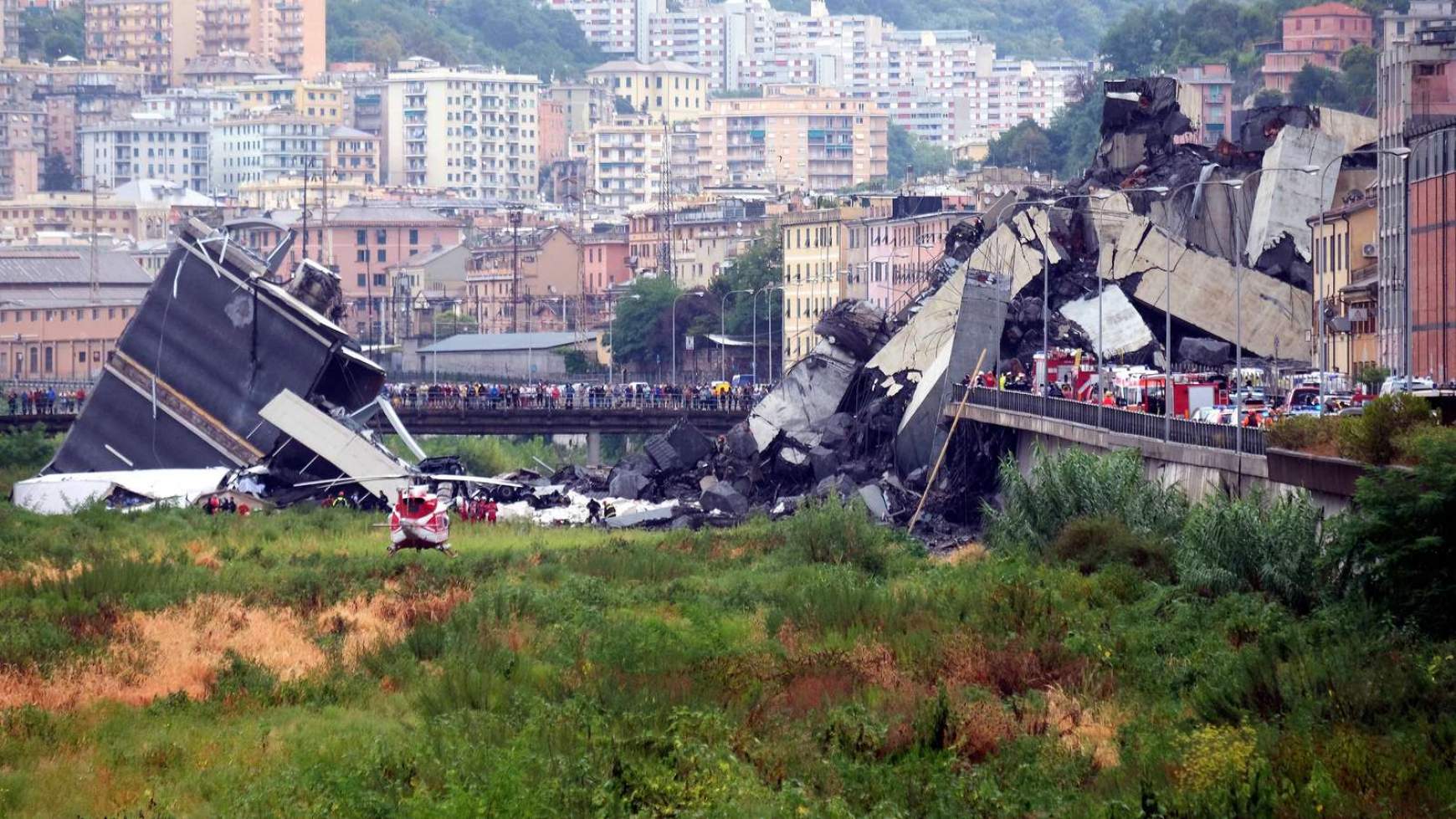 hidomlas-genova.jpg hidomlas-genova.jpg